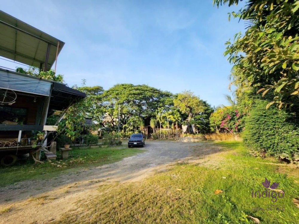 Chiang Mai-I-4142