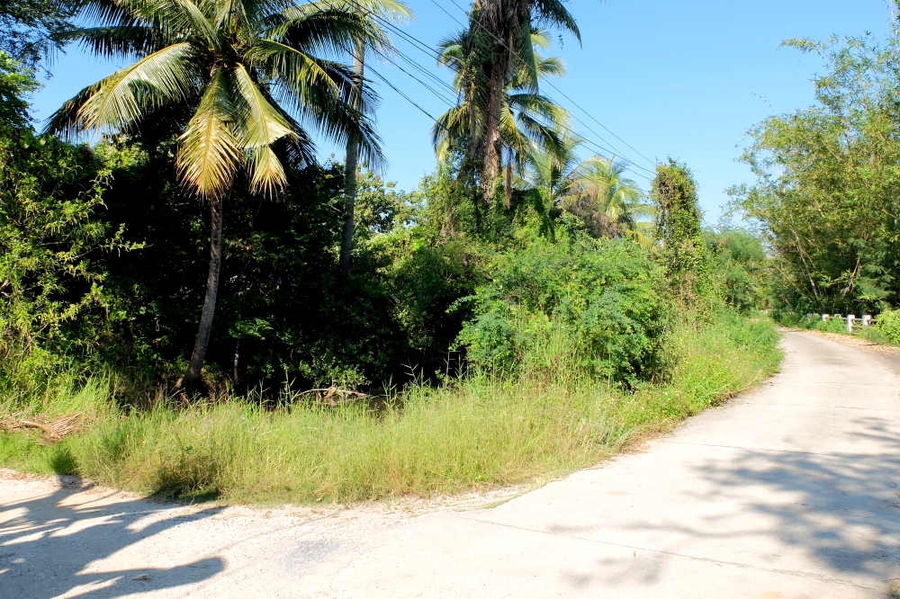 Land 3 Rai 2 Ngan 16 Sqw For Sale at Paphai Sansai Chiangmai-I-3028