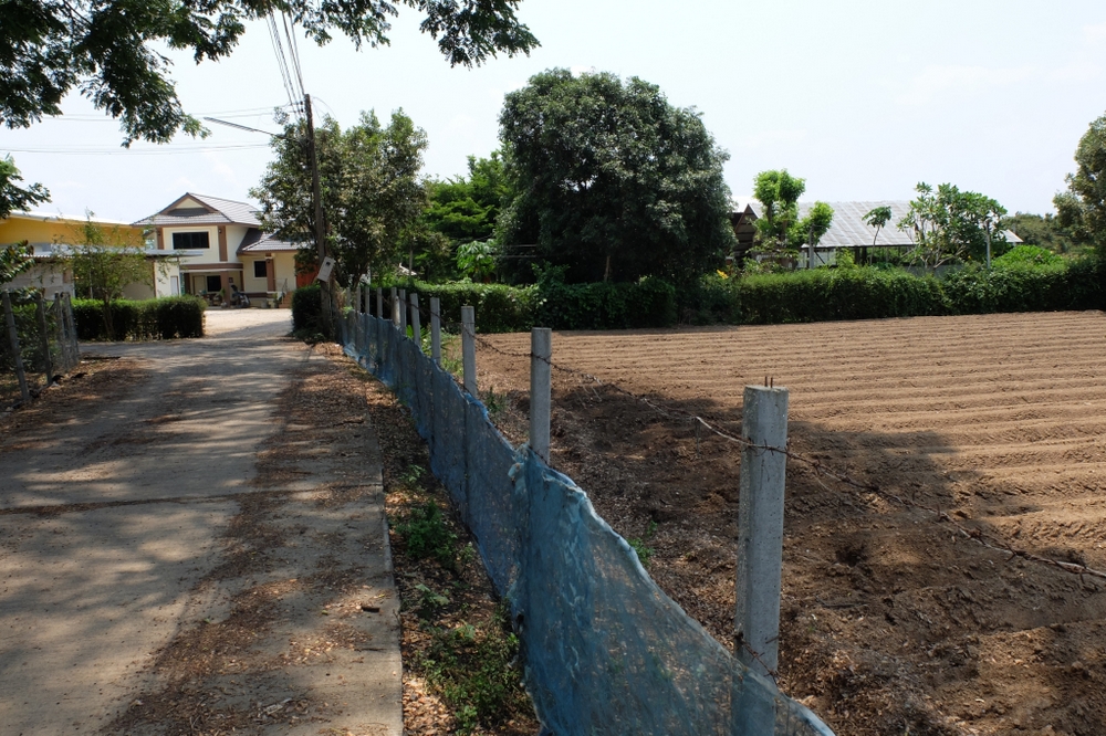 Land Mae Faek Mai Sansai For Sale Over 5 Rai-I-3161