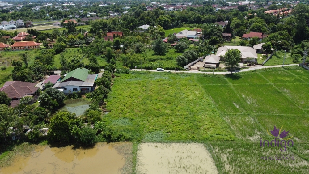 Chiang Mai-I-3930