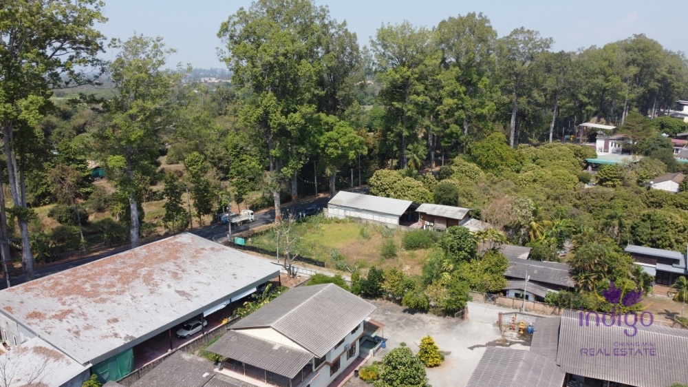 Chiang Mai-I-4144